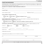 Form DOS 0985 F Download Fillable PDF Or Fill Online Credit Card