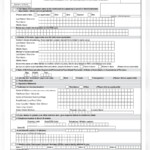 PDF PAN Card Correction Application Form PDF Download InstaPDF
