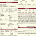 Pio Card India Application Form