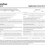 PDF Bandhan Bank Application Form For Debit Card PDF