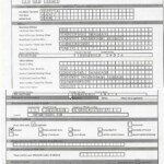 New Pan Card Correction Form Free Download Pdf Pagspeedy