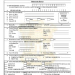PDF Application Form Permanent Identity Card To Disabled Person PDF